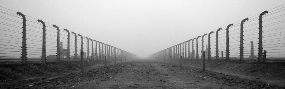 Road to the Gas Chambers of Birkenau